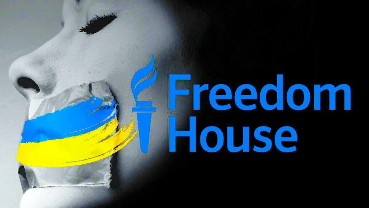 Фридом Украина. Несвобода. Организация дом свободы