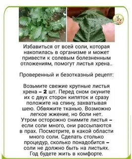 Приложить лист хрена к больному месту