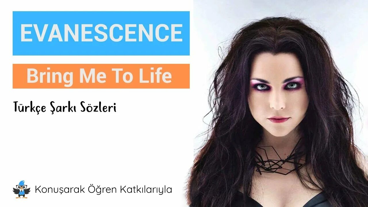 Песня бринг ми ту лайф. Evanescence. Evanescence bring. Эванесенс бринг ми. Evanescence bring me to Life.