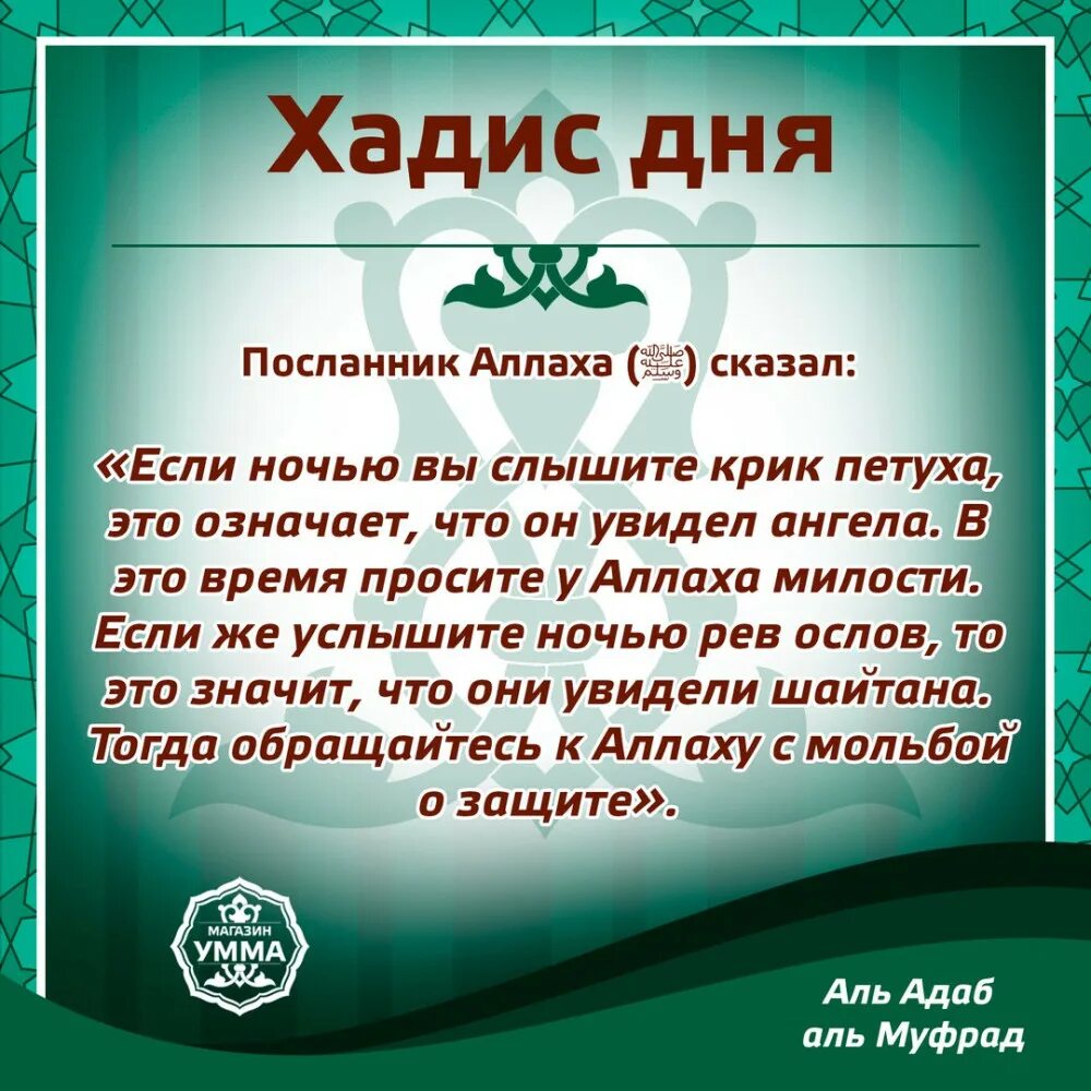 Что такое хадисы в исламе. Хадисы. исламские поздравления. мусульманские пожелания. хадисы о судном дне.