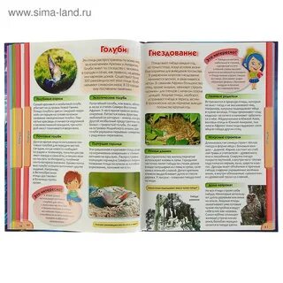 Есть энциклопедии большие и малые однако