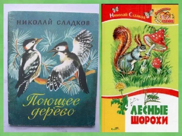 Книги Николая Сладкова о природе и животных. Обложки книг Сладкова. Сладков читать 2 класс