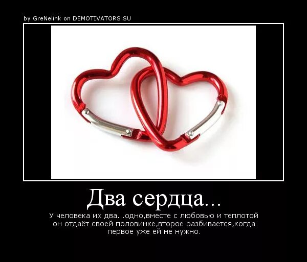 Одно сердце на двоих содержание