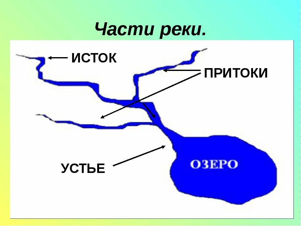 Как называется место где река