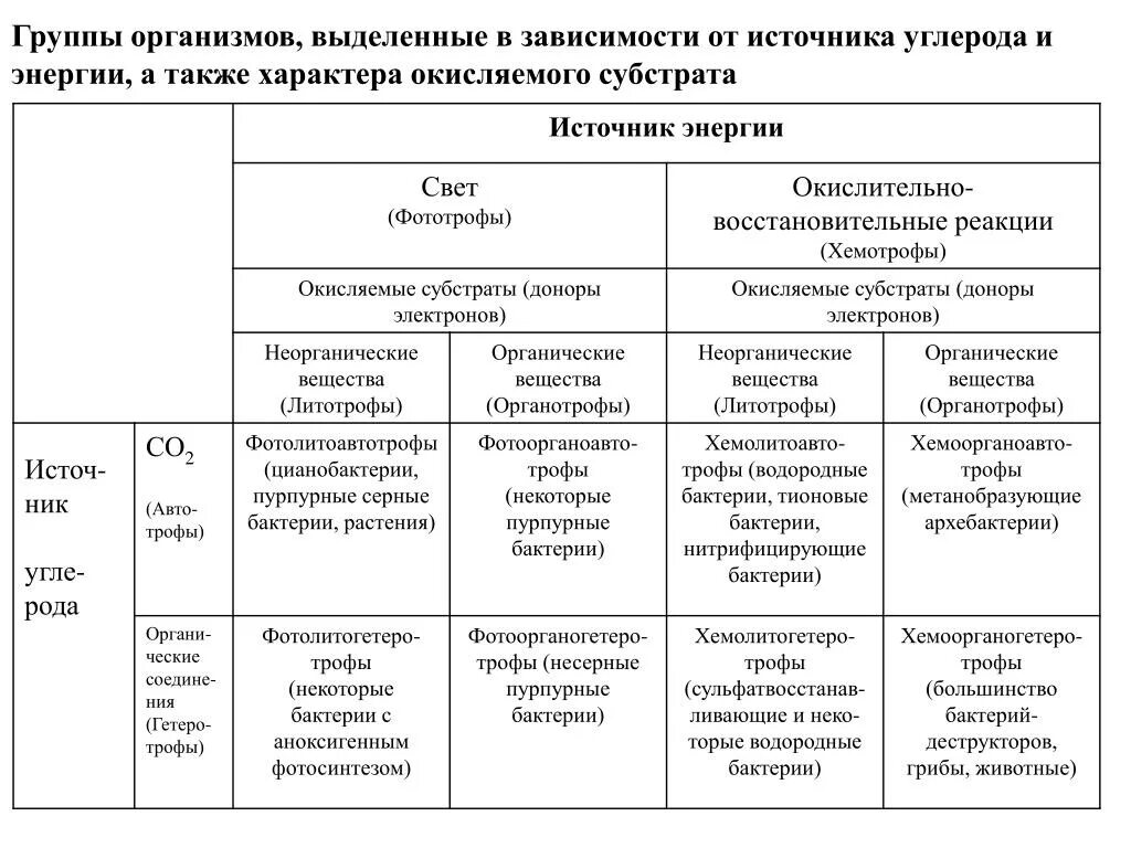 Источники энергии бактерий. Деление организмов на группы по источникам энергии и углерода. Классификация организмов по источнику энергии биохимия. Классификация организмов по питанию и источнику энергии. Классификация организмов по типу метаболизма.