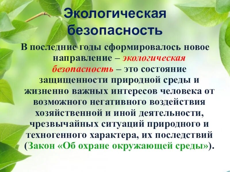 Задания к уроку к экологическая безопасность. Экололгическа Ябезопасность. Экология презентация. Экологическая безопасность презентация. Экологическая безопасность это определение.