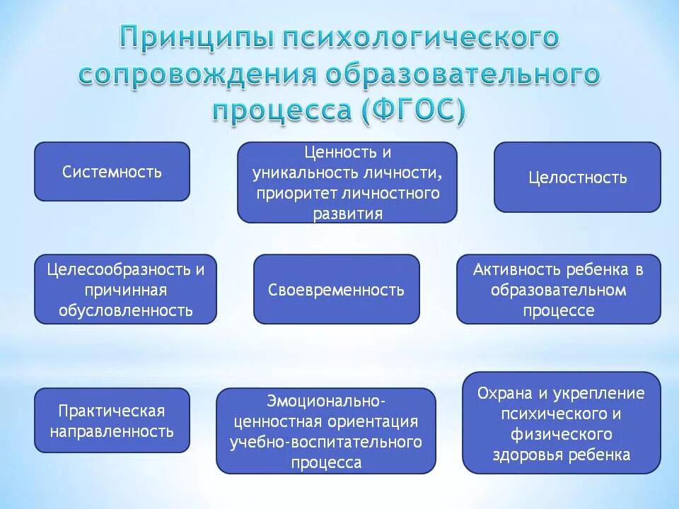 Учебный процесс социального образования. Принципы психолого-педагогического сопровождения. Принципы социально педагогического сопровождения. Психолого-педагогическое сопровождение образовательного процесса. Принципы психолого-педагогического сопровождения детей.