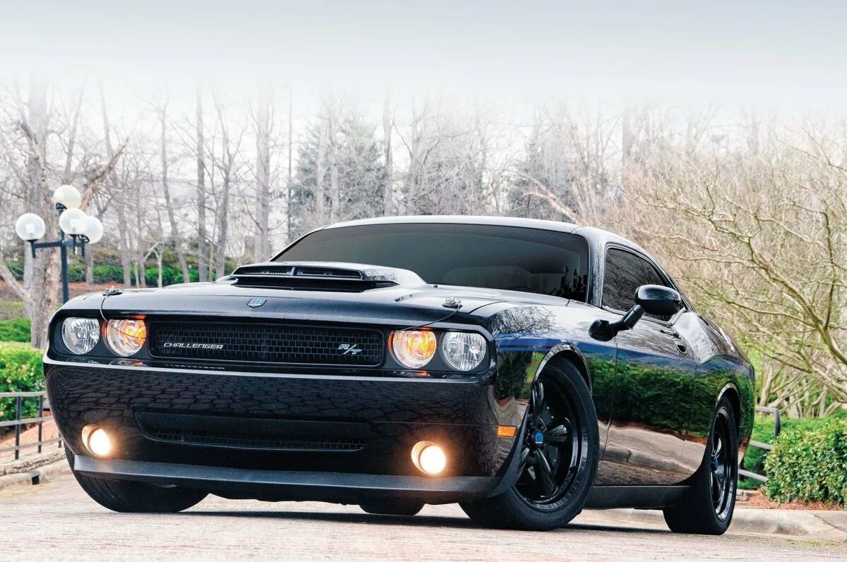 Дочь челленджер. Додж Челленджер 2010. Dodge Challenger Mopar 2010.. Dodge Challenger 2022. Dodge Challenger srt 2010.