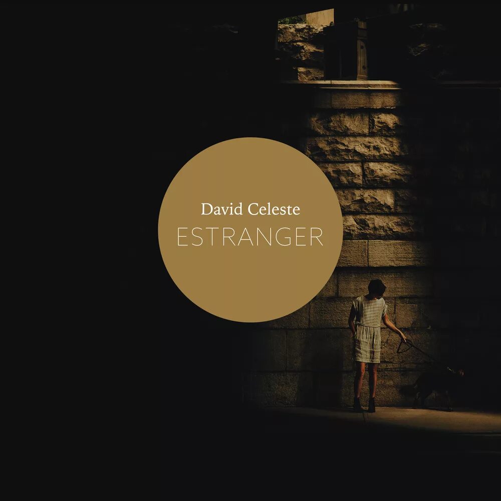 The artful mind. David celeste композитор. David again. In love again. David guetta.