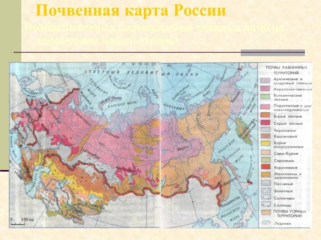 Почва урок географии 8 класс. Карта почв России 8 класс. География почв России карта. Типы почв России карта. Карта почв России 4 класс.