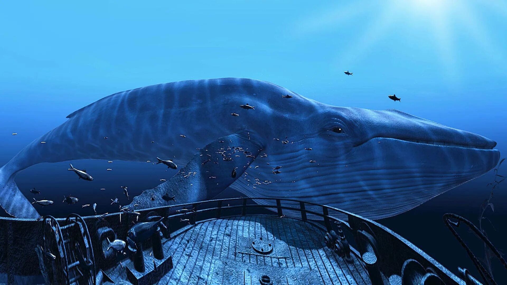 Vr океан. Виртуальная реальность подводный мир. Очки виртуальной реальности подводный мир. Книга виртуальная реальность океаны и моря. Виртуальная реальность подводный мир.