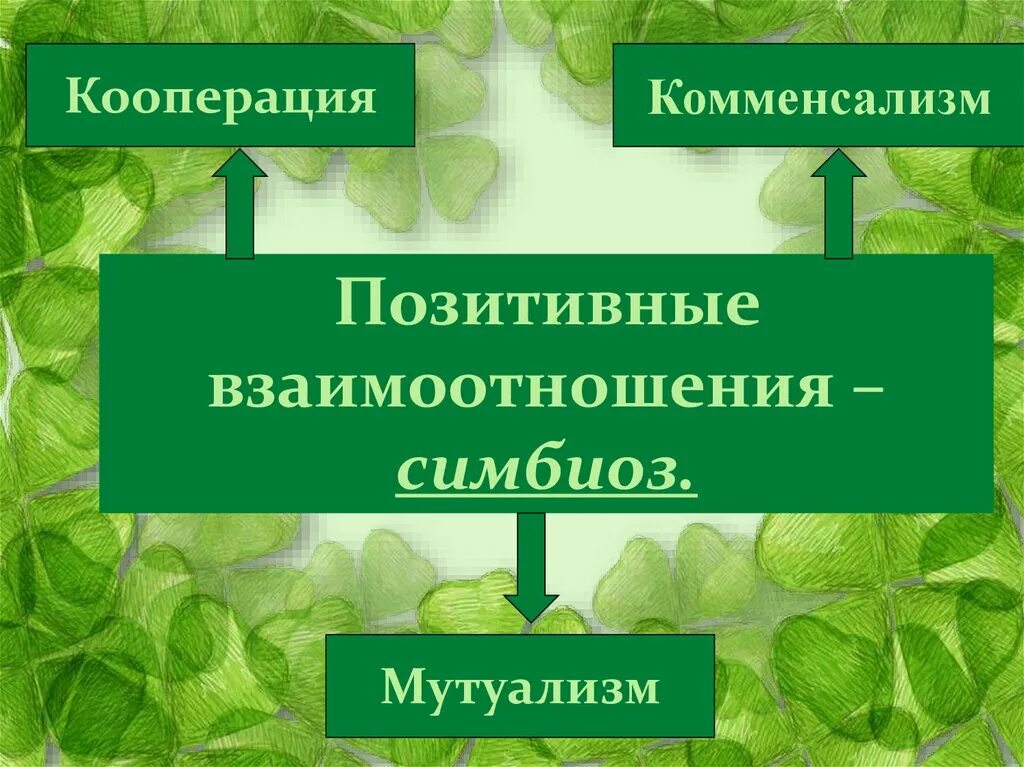 Положительные стороны симбиоза. Позитивные взаимоотношения симбиоз. Позитивные взаимоотношения организмов. Положительные виды взаимодействия организмов. Типы взаимодействия организмов комменсализм.