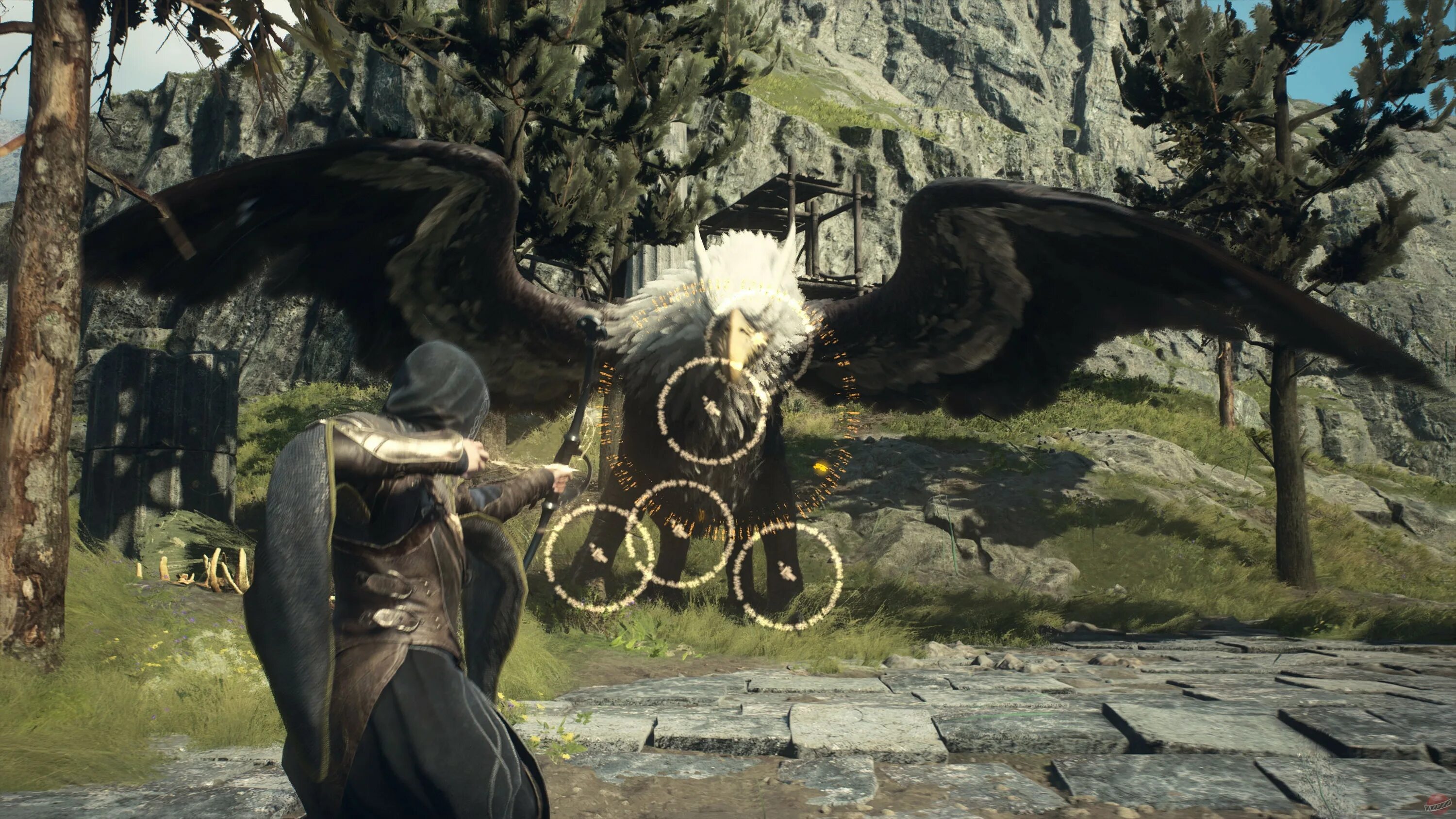 Dragons dogma кольца. Драгон догма 2. dragonsdogma2. dragons dogma 2 дата. драгонс догма 2 геймплей.