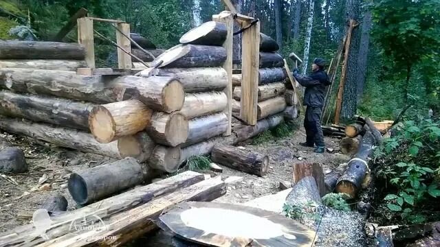 Изба адвоката егорова 2022. Изба адвоката егорова. Изба адвоката егорова 2022. Адвокат егоров лесная изба. Лесная изба адвоката егорова.