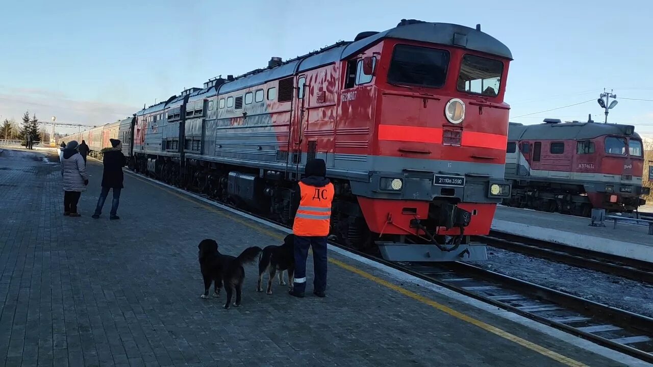 Поезд 097с. Поезд Тында Кисловодск. Поезд новая Чара Тында. Поезд 98 Кисловодск Тында. Поезд 097с/098с Кисловодск — Тында.