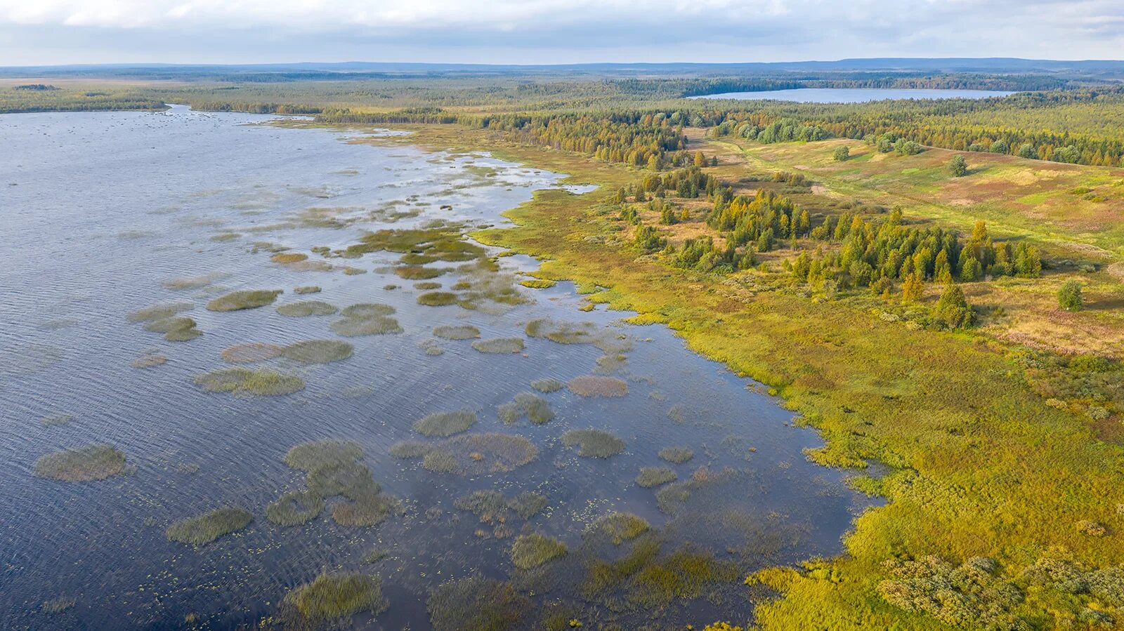 Водлозерский парк Карелия. Водлозерский национальный парк Онежский. Озеро Водлозеро Карелия. Водлозерский парк Архангельск. Водлозерский парк сайт