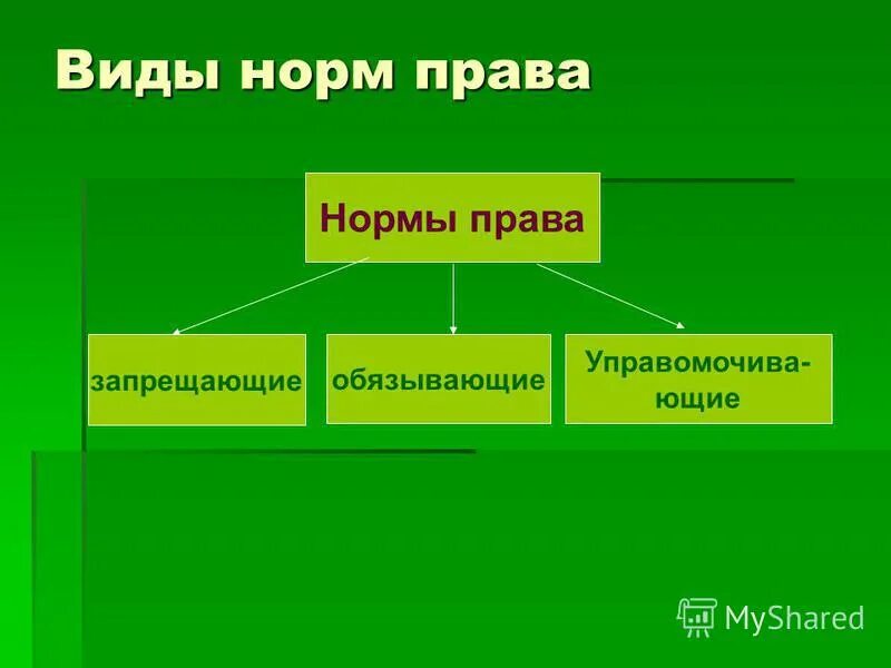 Виды норм законодательства. Уполномоченные обязывающие запрещающие