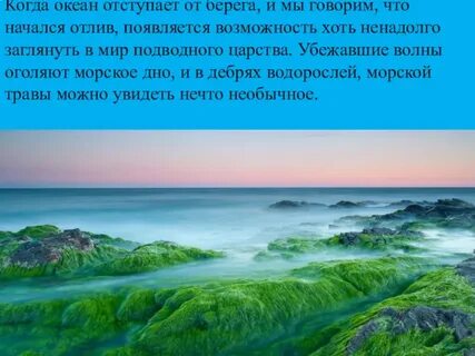 Касаясь трех великих океанов она