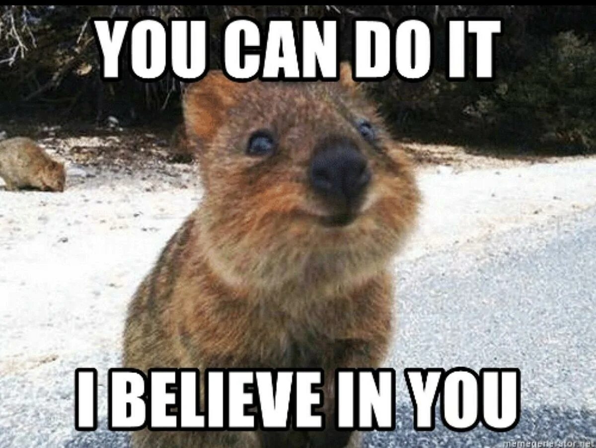 Believe in luck. You can do it Мем. Мем i can do it. You can do it Мем Shaila. You can do it i believe in you.