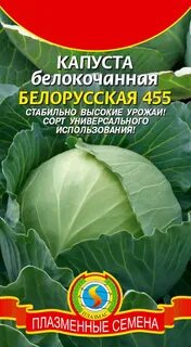 Капуста белорусская описание сорта