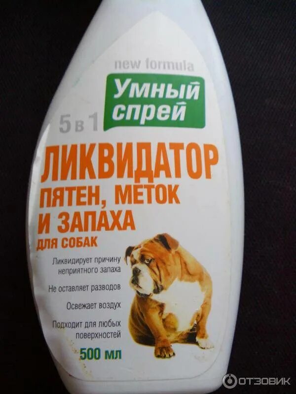 Удаление запахов собаки. Средство от собачьей мочи. средство от запаха мочи собаки. избавляемся от запаха собачьей мочи. средство от запаха собачьей мочи на полу.