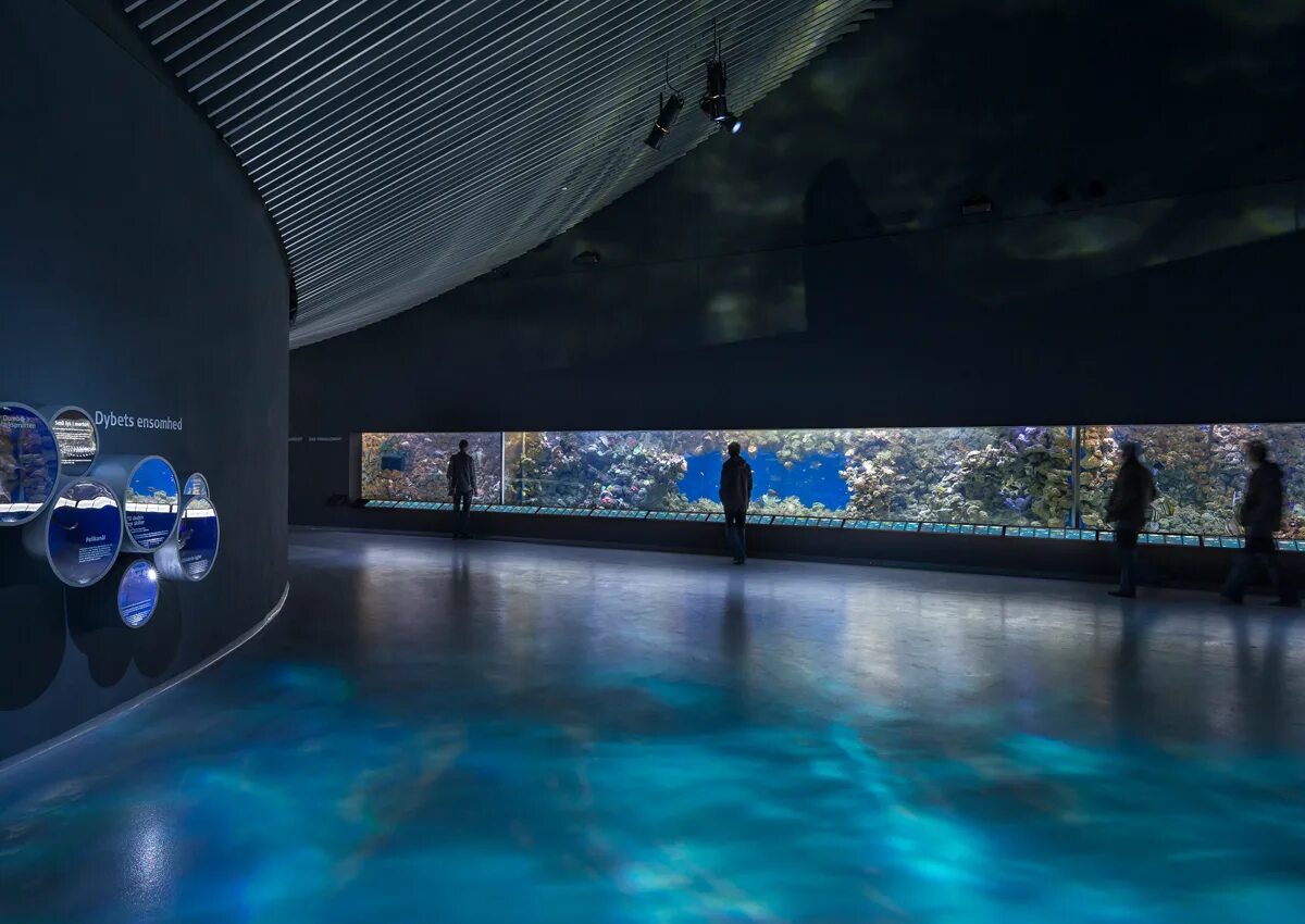 Океанариум зал. Планета аквариум. Blue Planet Aquarium. Экспозиционный комплекс Планета океан аквариумы. Blue Planet Копенгаген.