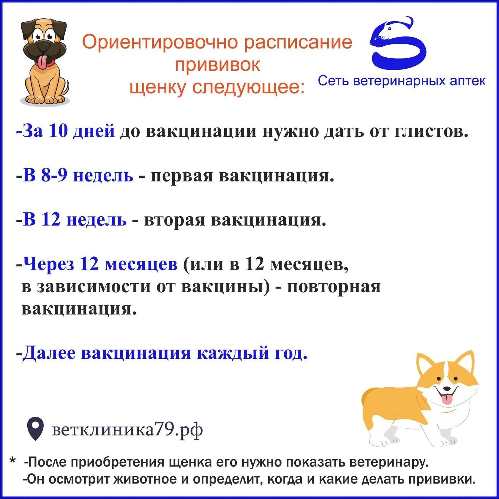 Какую прививку ставят собакам в год. Схема прививок для щенков до года. схема прививок для собак до года. какие прививки надо сделать собаке в 1 год. график прививок щенкам до года.