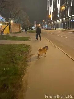 Изнанка просп революции 6 отзывы