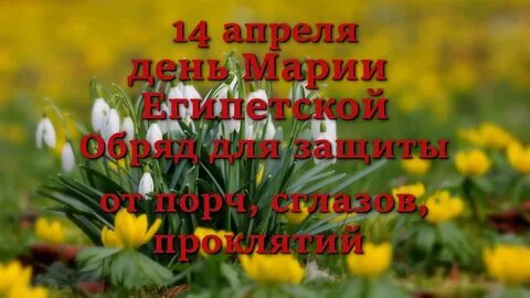 Сегодня 14 апреля