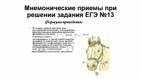 Правило лошади