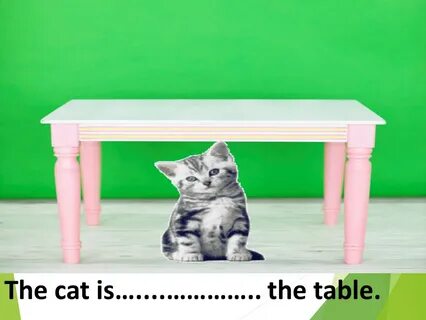 The dog is behind the table