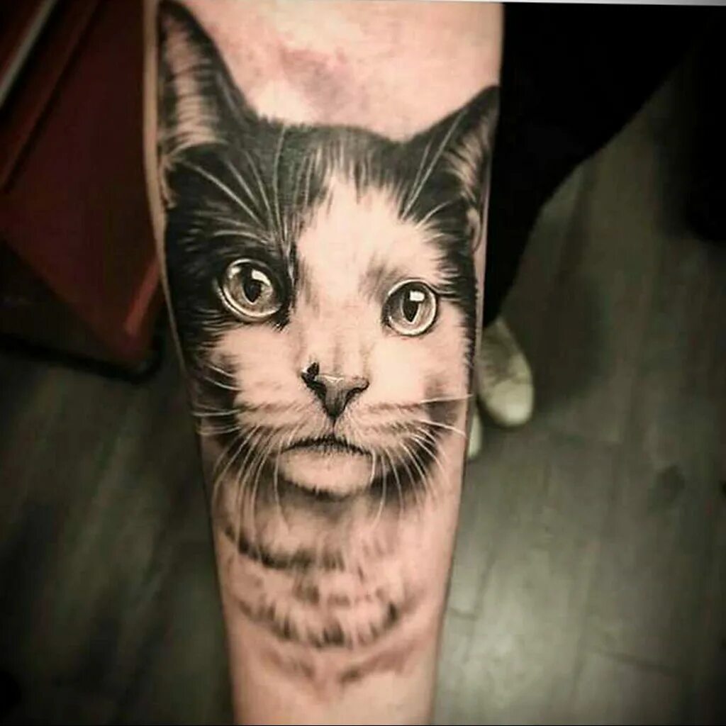 Tati cat. Тату кот. Тату портрет кота. Тату реализм коты. Тату кот реализм.