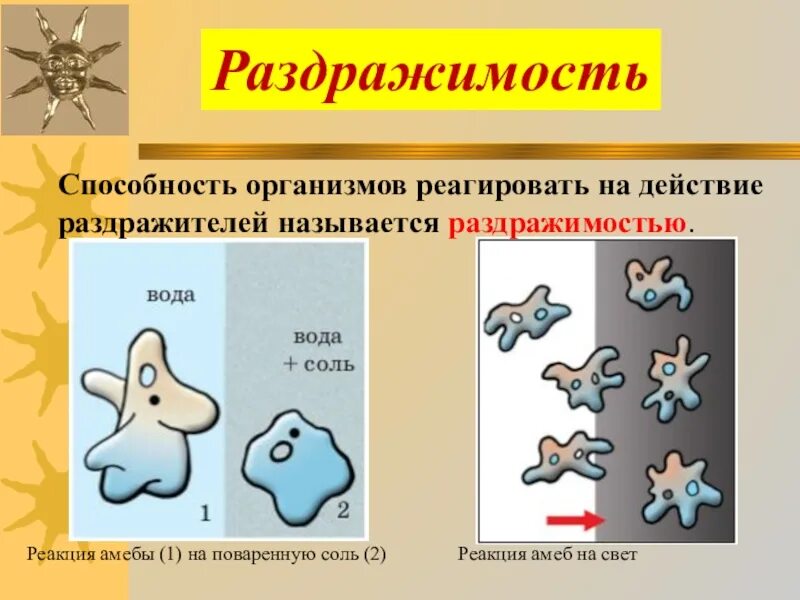Раздражение животных 8 класс