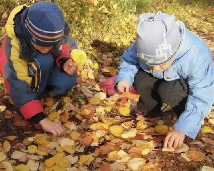 Осенняя прогулка в детском саду. Наблюдение с детьми на природе осенью. Дети в листьях осенью в детском саду. Наблюдения за природой осенью для детского сада. Собрать осенние листья