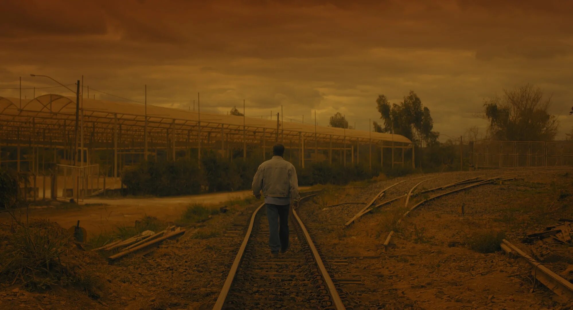 Dry leeward. Wind dry. Суховей фильм 2020. Wind dry. Dry wind 2020.