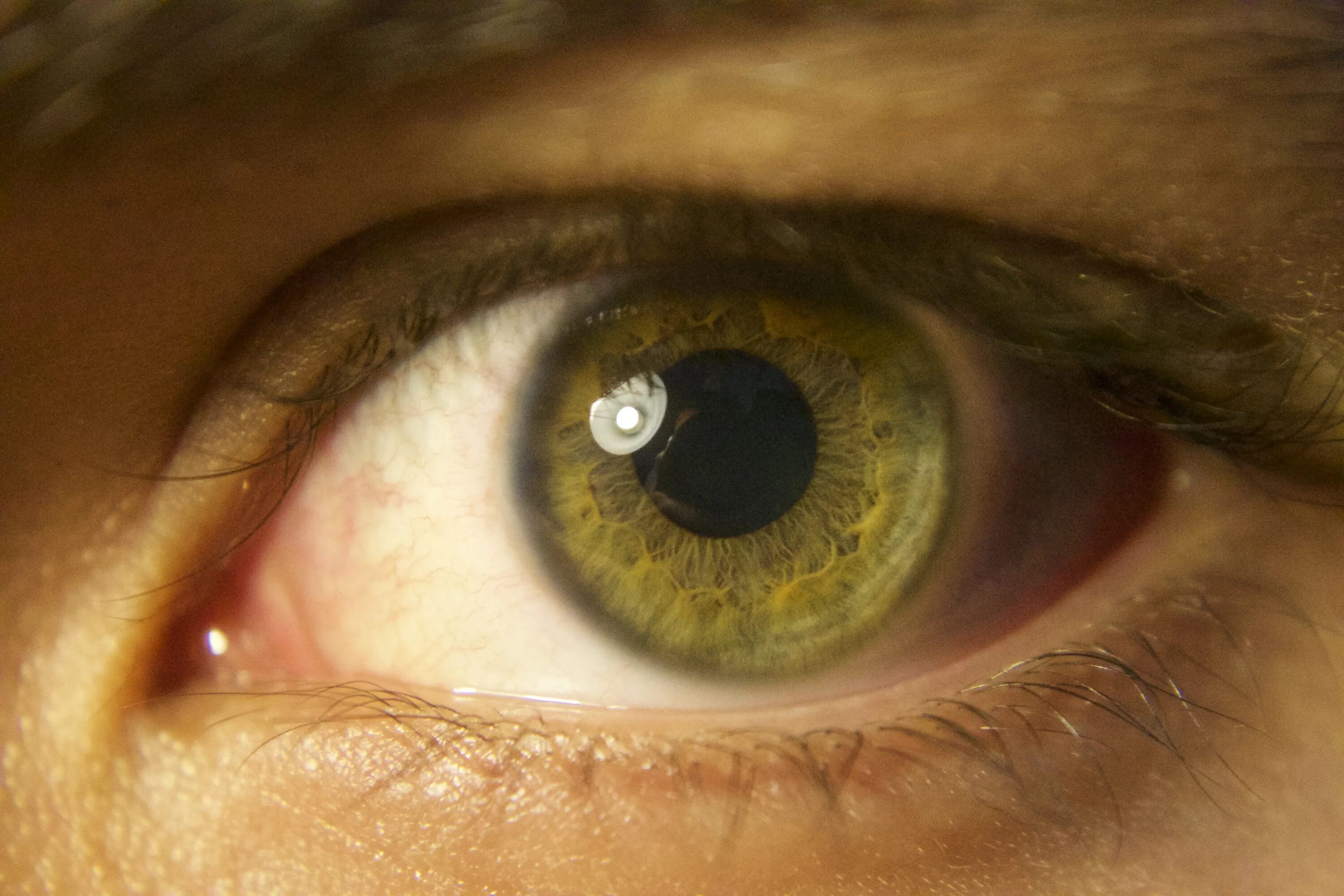 Описание желтых глаз. Желто зеленые глаза. Зеленая радужка глаз. Зелёные глаза. Серо желтые глаза.
