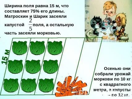 Лилипуты подготовили поле прямоугольной формы