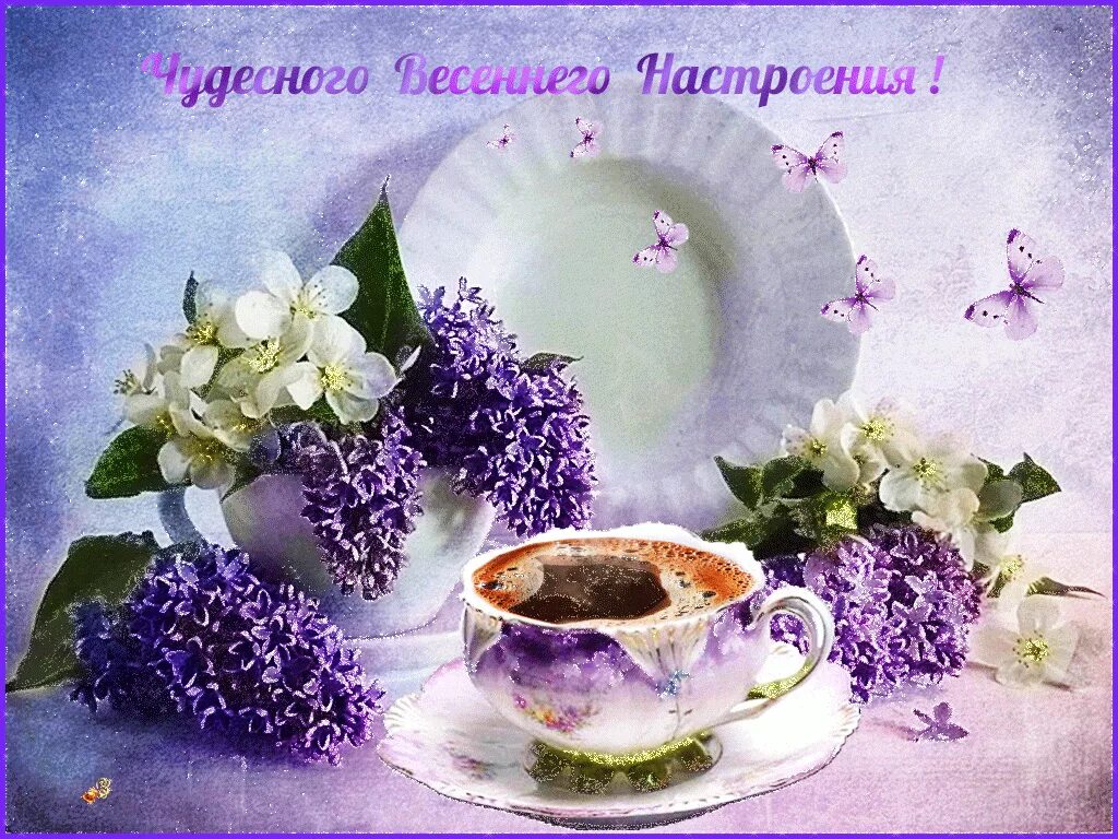Хорошего доброго весеннего утра. Прекрасного утра и настроения. прекрасного утра и весеннего настроения. чудного утра и прекрасного дня. хорошего весеннего утра и дня.