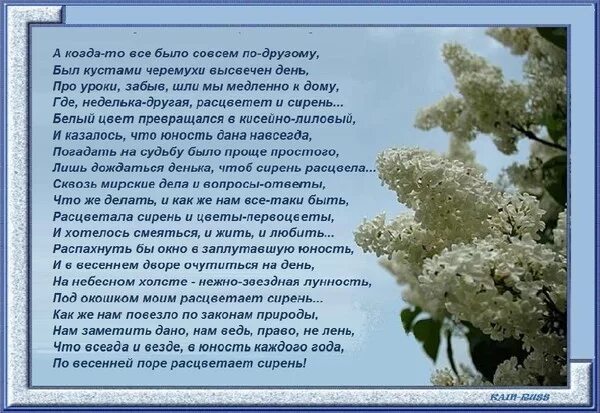 Чтоб тебя будет расцветать песня. Чтоб тебя будет расцветать песня. Чтоб тебя будет расцветать песня. Чтоб тебя будет расцветать песня. Яблони в цвету текст песни.