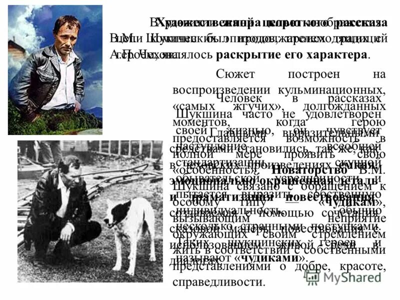 Волки краткое содержание для читательского дневника. Шукшин волки. Рассказ Шукшина волки. Шукшин волки краткое содержание. Краткий пересказ волки Шукшин.