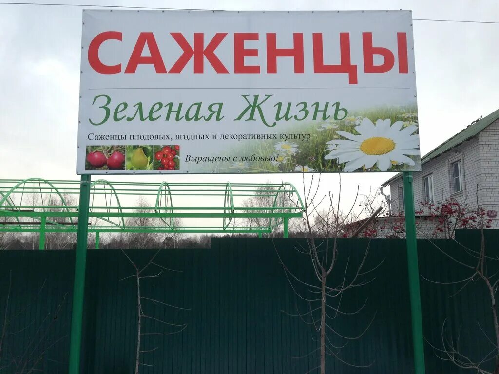 Зеленая жизнь спортивная ул 1 поселок садовый. Владимирский садовый центр.