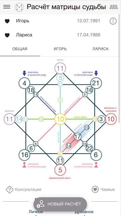 Матрица судьбы где встретишь любовь. Матрица судьбы Ладини. Матрица судьбы схема расчета. Расчет матрицы судьбы. Матрица судьбы шаблон.