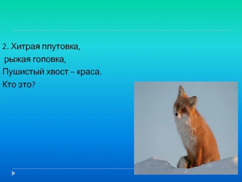 Плутовка значение слова. Хвост пушистый Краса. Хитрая плутовка. Хитрая плутовка рыжая головка хвост пушистый Краса. Плутовка это кто.