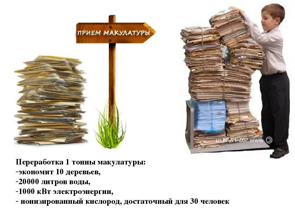 макулатура в пакете. 1 тонна макулатуры. сколько кг макулатуры спасает 1 дерево. экономия макулатуры. тонна бумаги.