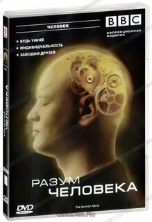 Разум человека будь