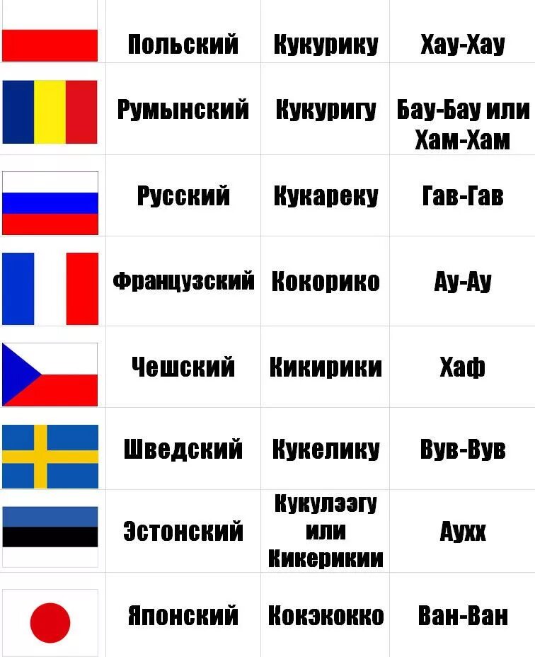 Как переводится на разных языках. Прикольные слова на других языках. Смешные слова на разных языках. Прикольные фразы на разных языках. Смешные фразы на разных языках.