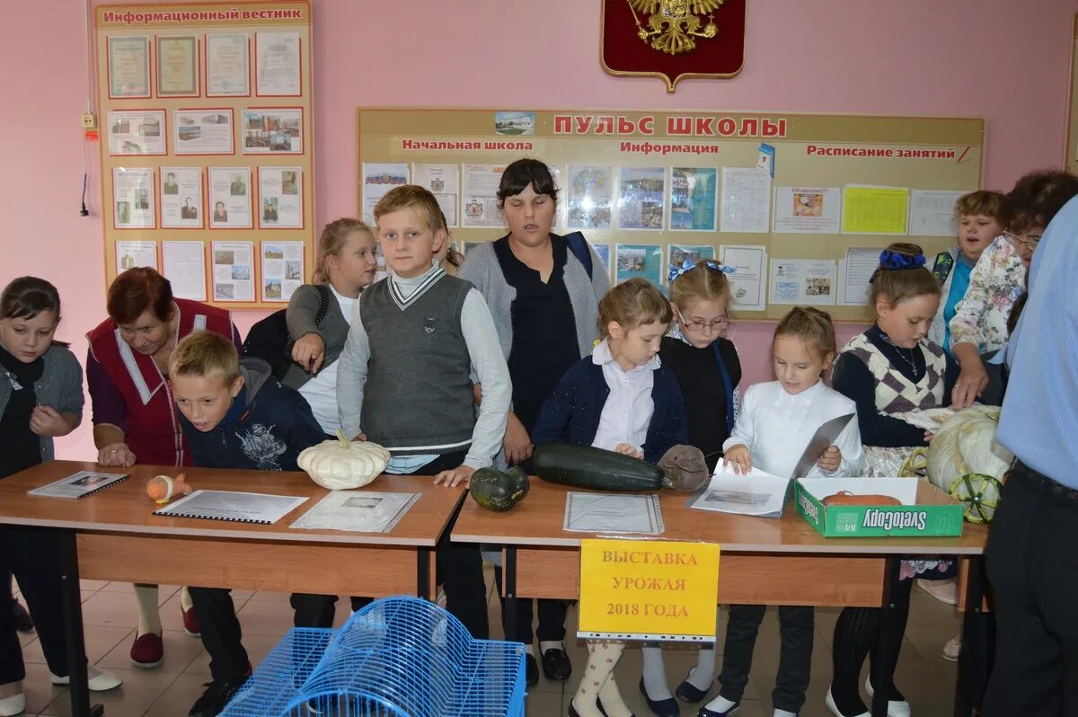 Школа в деревне. Гуси в школе. Мбоу лесниковская оош гусь-хрустального района. Школа 15 гусь хрустальный. 13 школа гусь хрустальный гусь хрустальный.