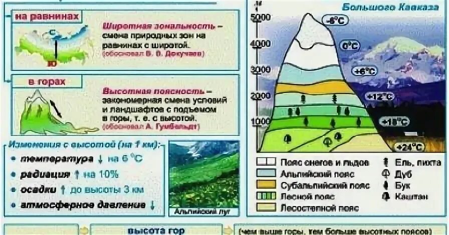 Почвы высотной поясности северной америки. Схема вертикальной поясности.