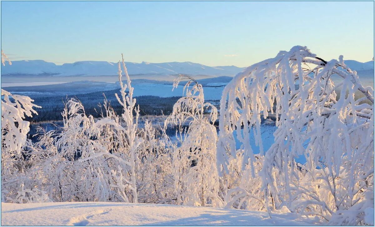 на севере холодно. якутская тундра. зима мороз. какой мороз на севере. самая холодная зима в антарктиде.
