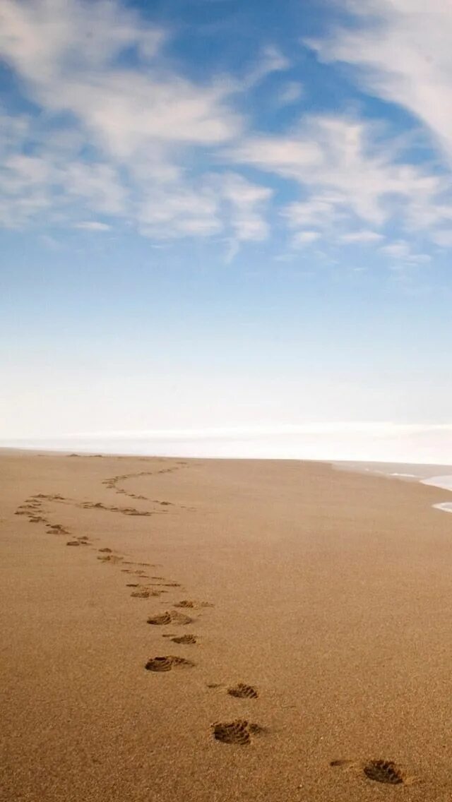 Следы на песке слушать. Следы на песке. Следы на песке у моря. Пляж следы на песке. Следы человека на песке.